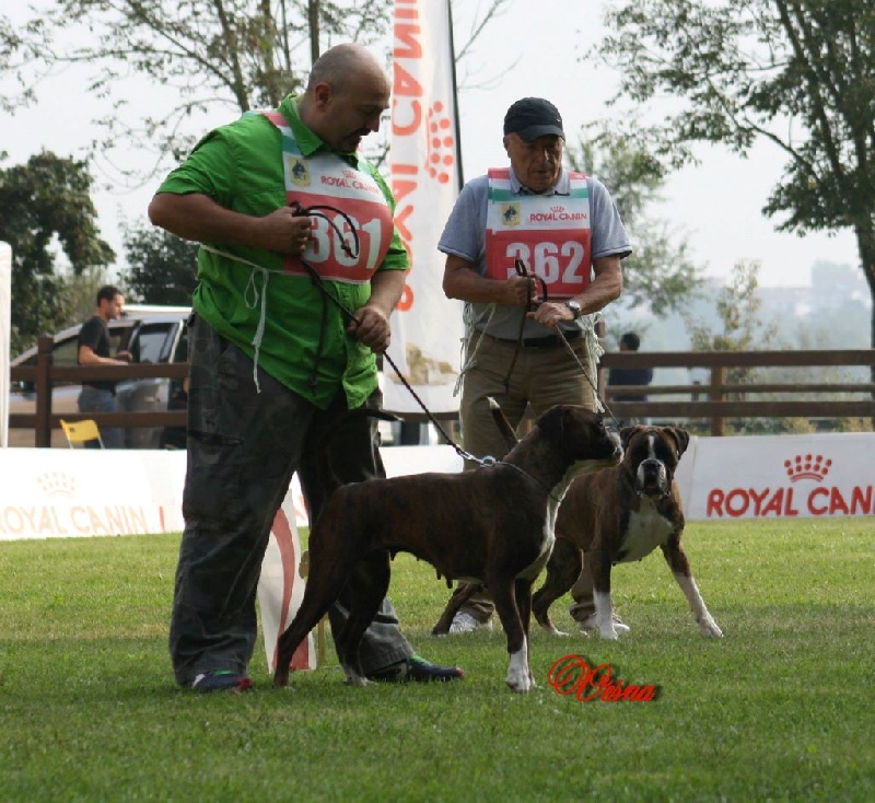 Campionato Dell'Anno Druento Italie